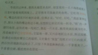 未來的校園圖書館作文150字