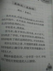 校園作文260個字,校園作文560個字,我的校園作文一千個字以上