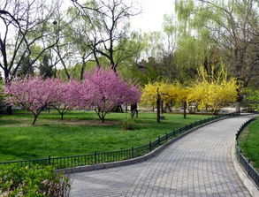 校園里的春天作文評(píng)語(yǔ)