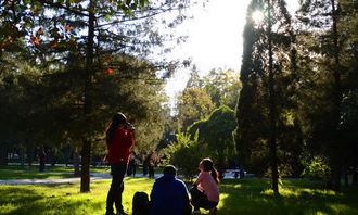 校園我最難忘的人500字作文