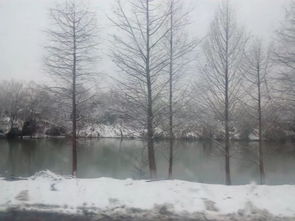 下雪后校園雪景英語作文