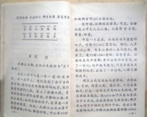 關(guān)于校園的童記憶作文