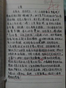 校園人物作文八百字