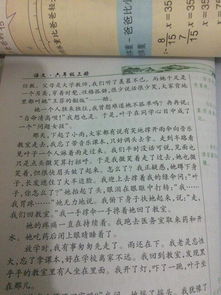 校園里的榆樹(shù)作文400字