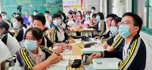 校園生活帶給我快樂(lè)作文