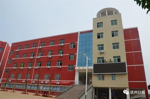 東鄉(xiāng)五中美麗的校園5OO作文