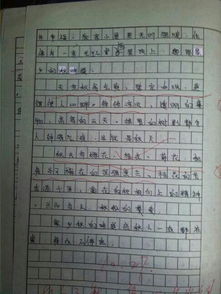 走進(jìn)高中校園作文800字,校園的秋天800字作文高中,校園作文高中作文800
