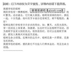 校園的榕樹100字作文