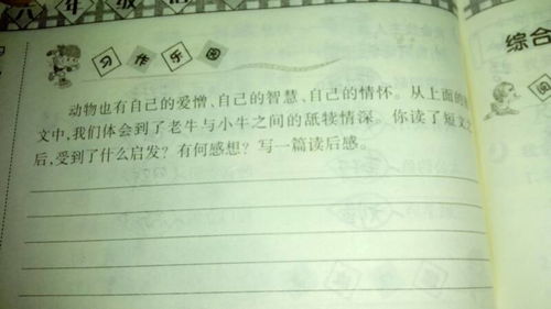 校園我歌唱你作文250字