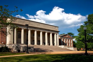 校園的草坪作文100字