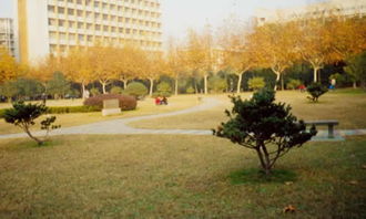 校園趣事400作文