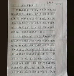 關(guān)于平安校園與法同行的作文1000字