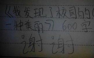 我發(fā)現(xiàn)校園的美怎么寫(xiě)作文