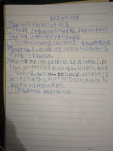 美麗的學(xué)校園的作文