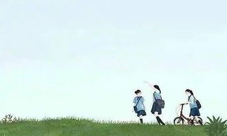 校園友誼作文高中