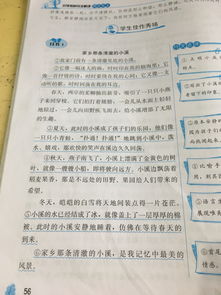 可愛的校園作文350字四級下冊