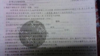 描寫校園陽(yáng)光的作文