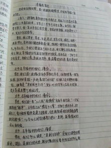 《難忘的校園往事》作文450字