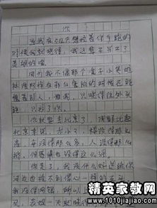 同學(xué)們?cè)谛@里做什么作文