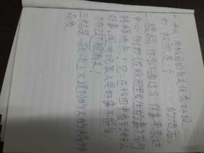 主題校園的作文開頭