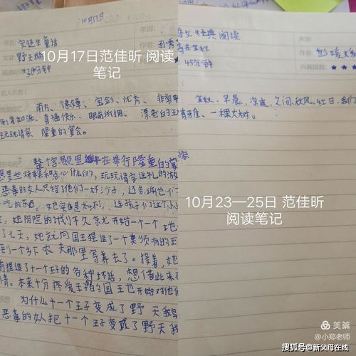 作文,我家,校園