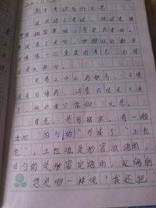 校園里有這么一個(gè)有趣的地方作文四百字