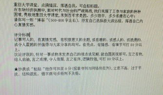 校園裝修好的作文