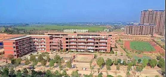 書香校園伴我成長(zhǎng)初二作文1000字