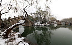 校園里的第一場雪作文500字