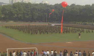 校園趣事軍訓(xùn)作文