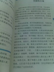 校園小景400字作文動靜結(jié)合