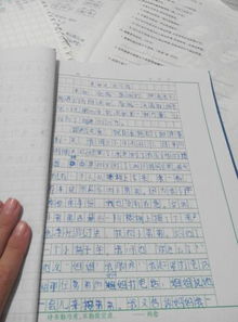 校園關愛的作文550字