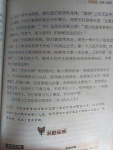 校園一景作文800字寫樹