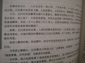 校園街邊小吃作文600字