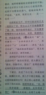 校園里的人或事作文400字左右