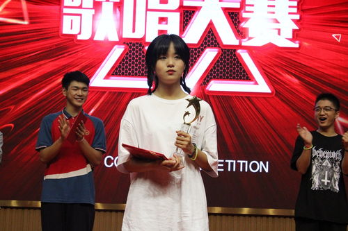 校園歌首大賽作文500字