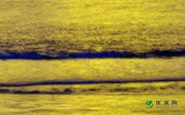 高中校園美景作文200字左右