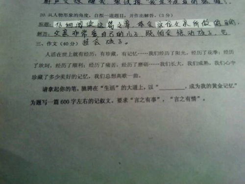 剛步入校園時的我初一作文