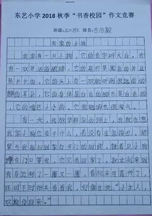 書香校園作文小學(xué)作文
