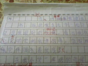 描寫,優(yōu)秀作文,校園