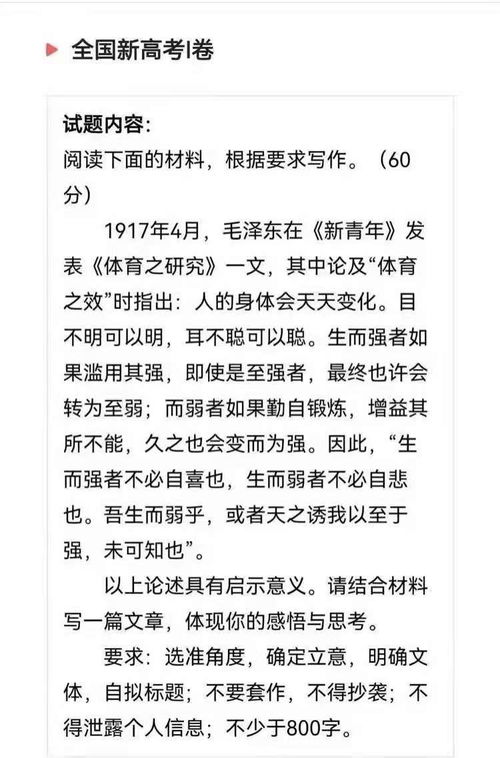 有關(guān)校園體育作文800