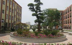 校園的花壇作文兩百字