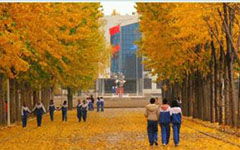 關(guān)于秋天的校園作文200字三級