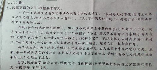 以校園里的苦的作文600字作文怎么寫