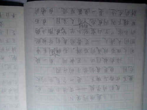 校園景色作文一步換景400