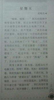 快樂的校園小學生作文500字