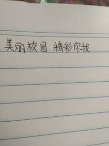 校園之外的精彩的作文