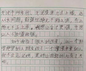 夏姑娘讓我們的校園有什么變化作文