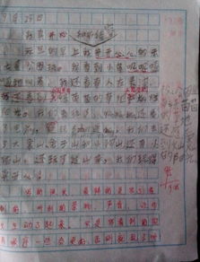 描寫實驗小學(xué)校園作文