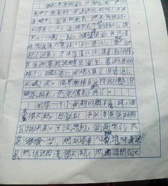 校園大籃球的作文350字